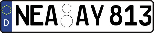 NEA-AY813