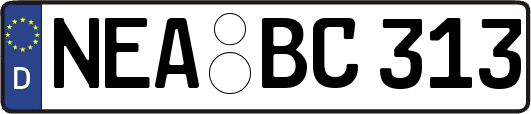 NEA-BC313