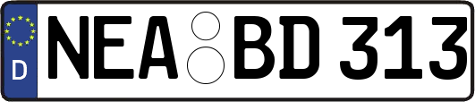 NEA-BD313