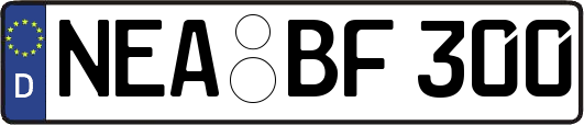 NEA-BF300