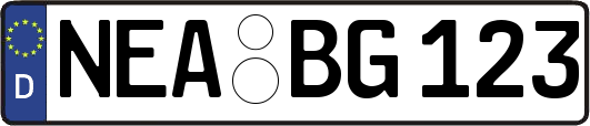 NEA-BG123