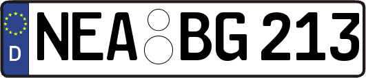 NEA-BG213