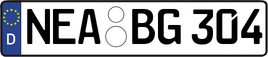 NEA-BG304