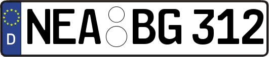 NEA-BG312