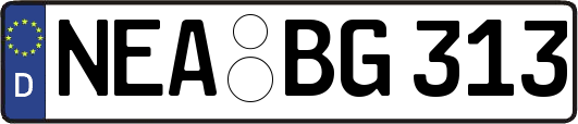 NEA-BG313