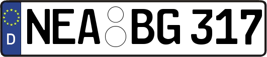 NEA-BG317