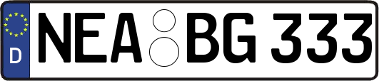 NEA-BG333