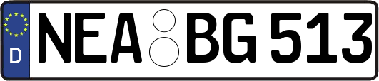 NEA-BG513