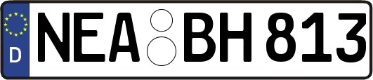 NEA-BH813