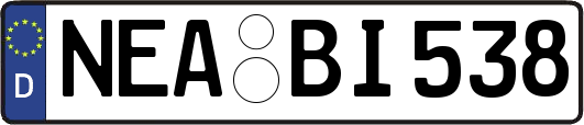 NEA-BI538