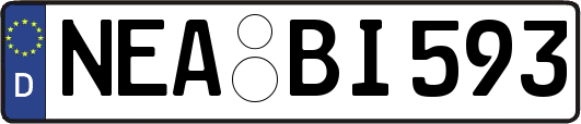 NEA-BI593