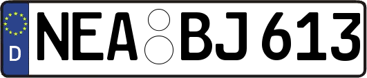 NEA-BJ613
