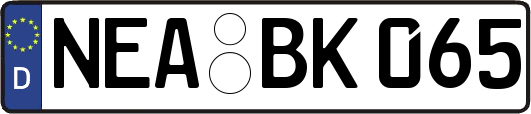 NEA-BK065
