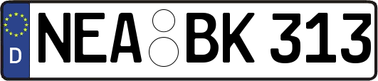 NEA-BK313