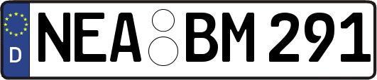 NEA-BM291