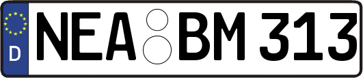 NEA-BM313