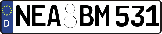 NEA-BM531