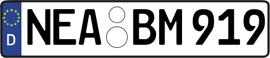 NEA-BM919