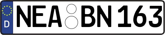 NEA-BN163