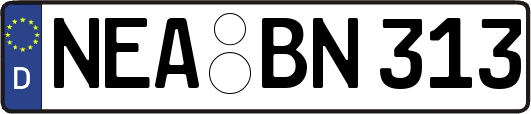 NEA-BN313