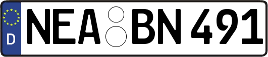 NEA-BN491