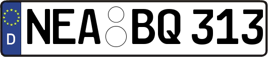 NEA-BQ313