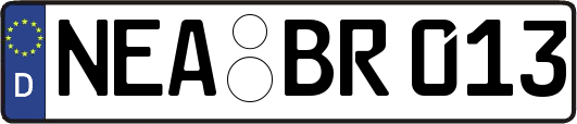 NEA-BR013