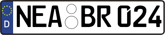 NEA-BR024