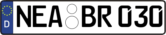 NEA-BR030