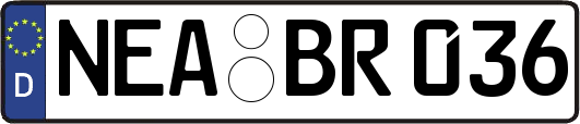 NEA-BR036