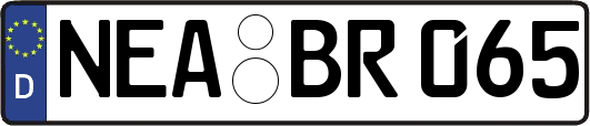 NEA-BR065