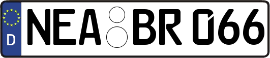 NEA-BR066