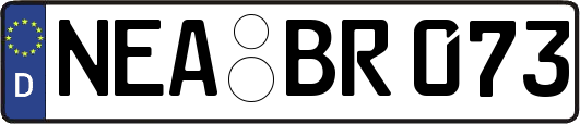 NEA-BR073