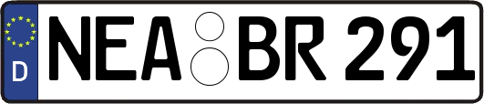 NEA-BR291