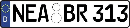 NEA-BR313