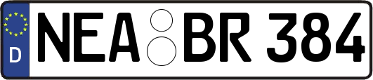NEA-BR384