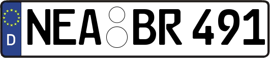 NEA-BR491