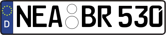 NEA-BR530