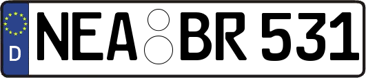 NEA-BR531