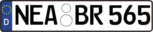 NEA-BR565