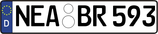 NEA-BR593