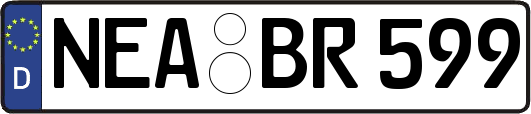 NEA-BR599