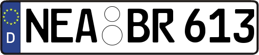 NEA-BR613