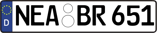 NEA-BR651