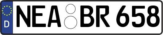 NEA-BR658