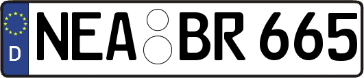 NEA-BR665