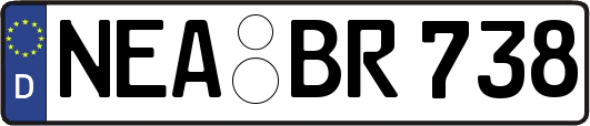 NEA-BR738