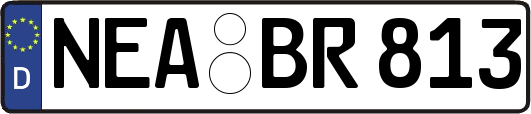 NEA-BR813