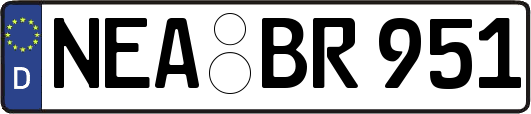 NEA-BR951