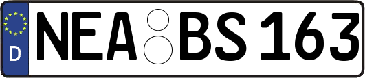 NEA-BS163